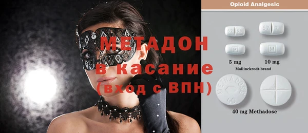 индика Алексин