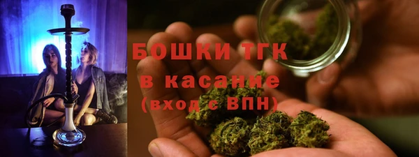 амф Аркадак