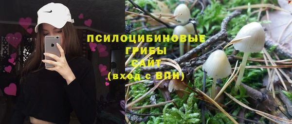 герыч Арсеньев