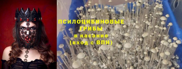 герыч Арсеньев