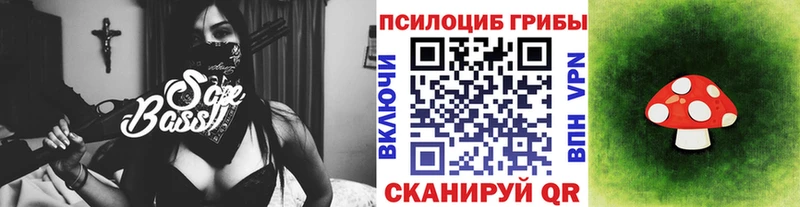 ОМГ ОМГ как войти  Талица  Галлюциногенные грибы Psilocybe 